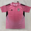 2026/27 Spain Goalkeeper Pink Fans Soccer Jersey Front