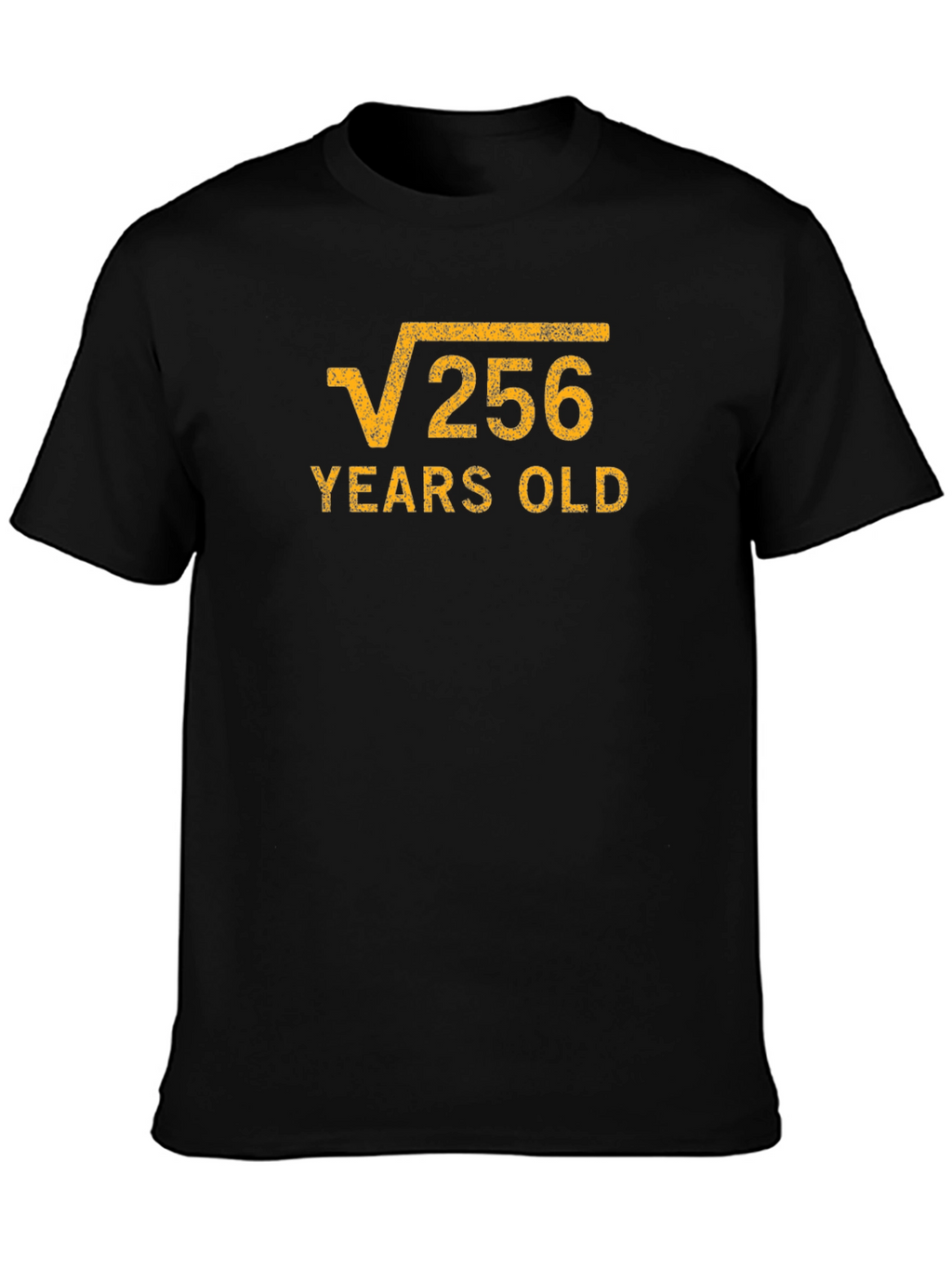 Funny Math Birthday T-Shirt - Root 256 Years Old