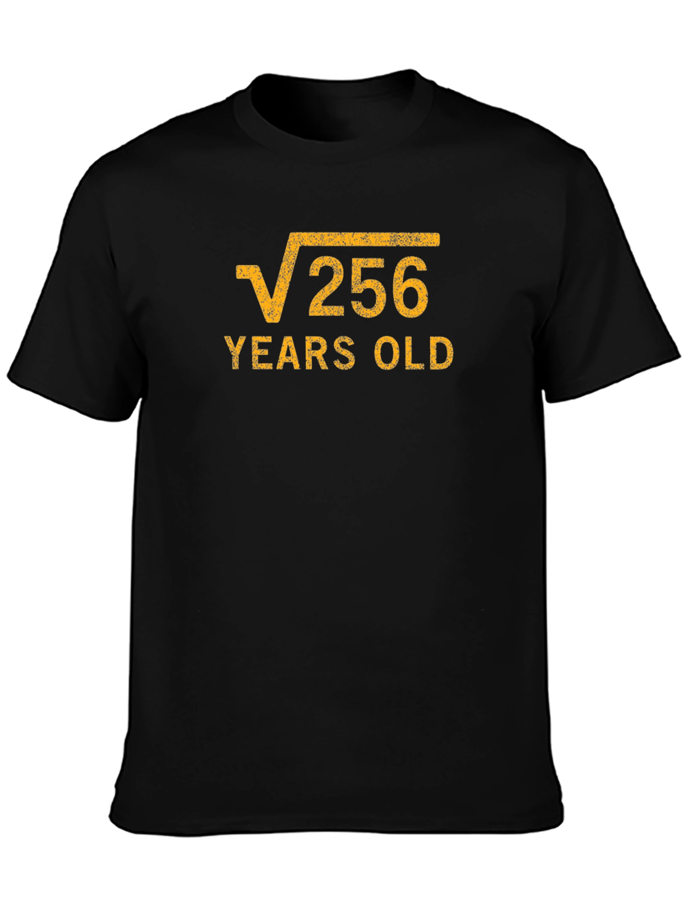 Funny Math Birthday T-Shirt - Root 256 Years Old