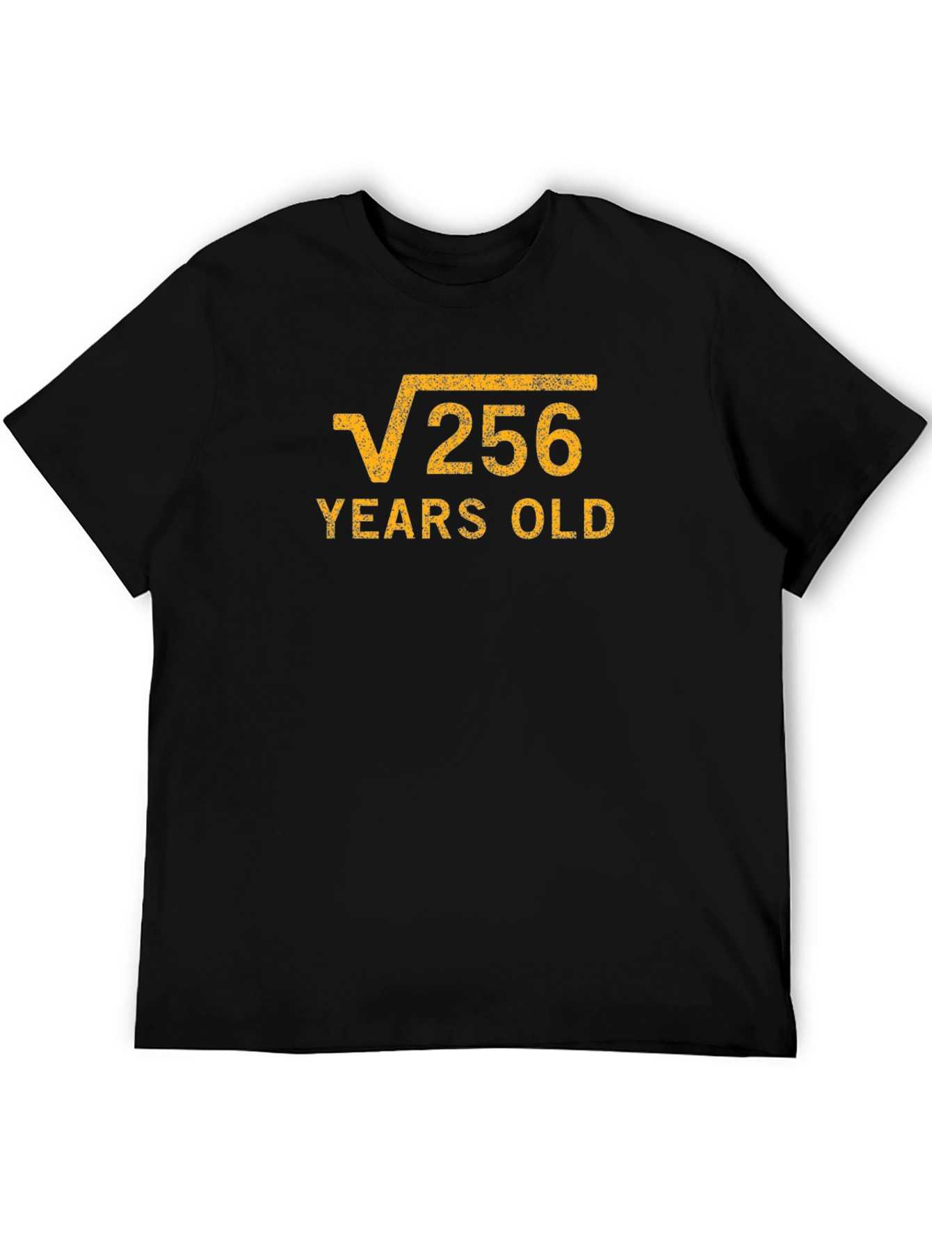 Funny Math Birthday T-Shirt - Root 256 Years Old