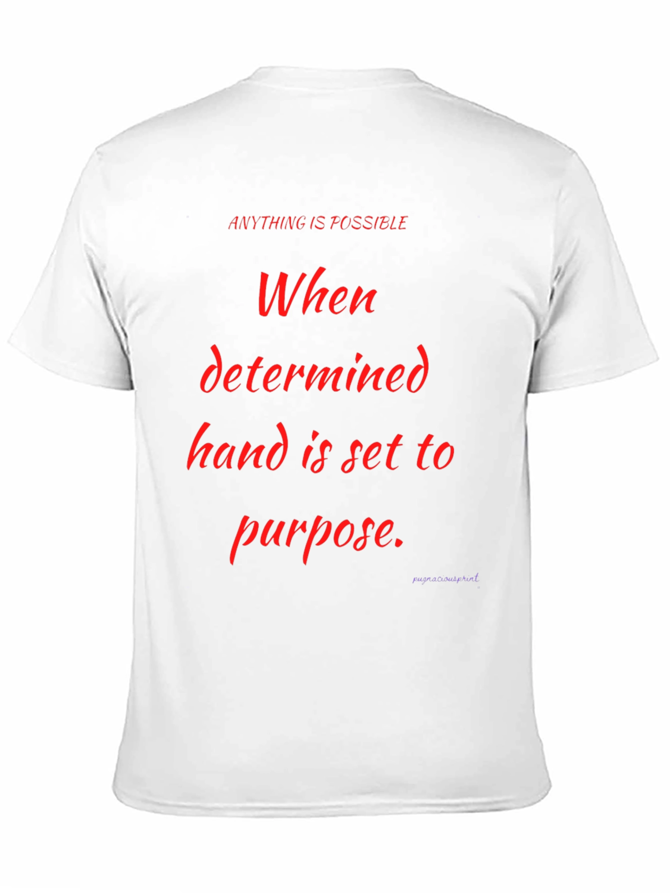 Motivational Graphic Tee - Anything is Possible