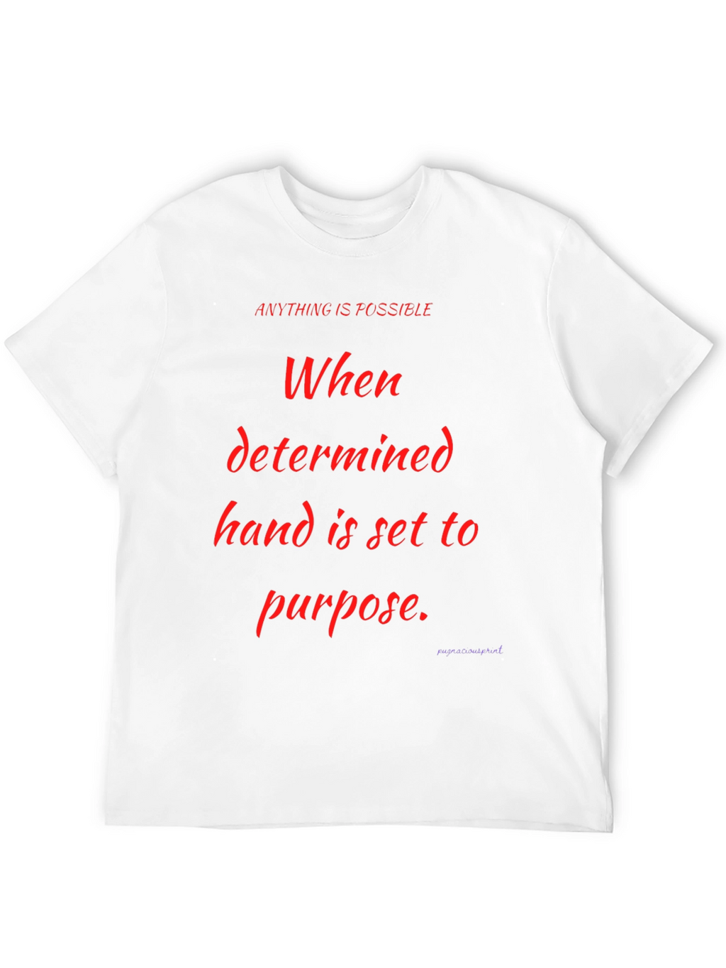 Motivational Graphic Tee - Anything is Possible