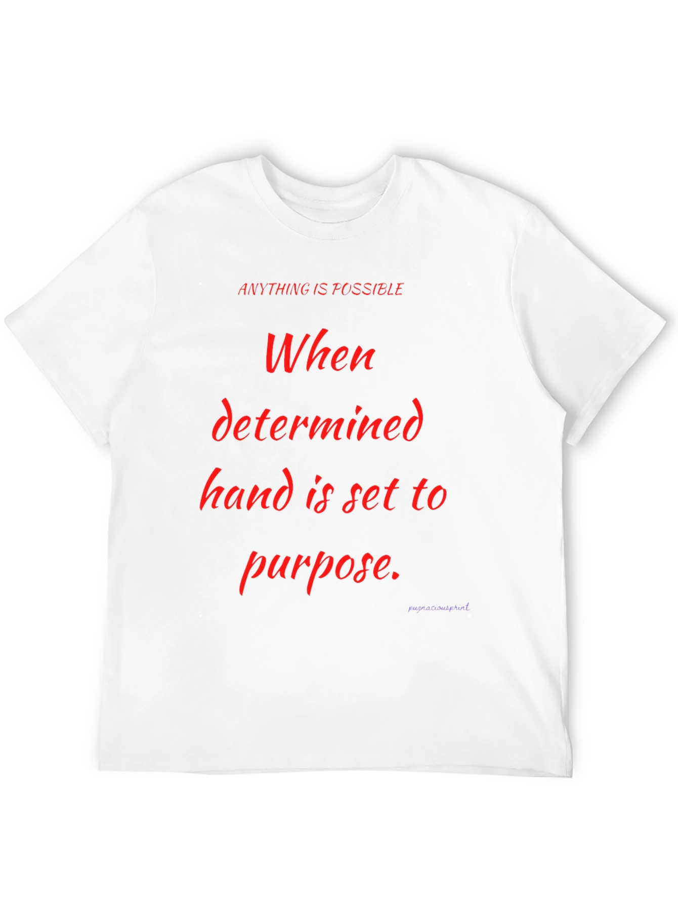 Motivational Graphic Tee - Anything is Possible