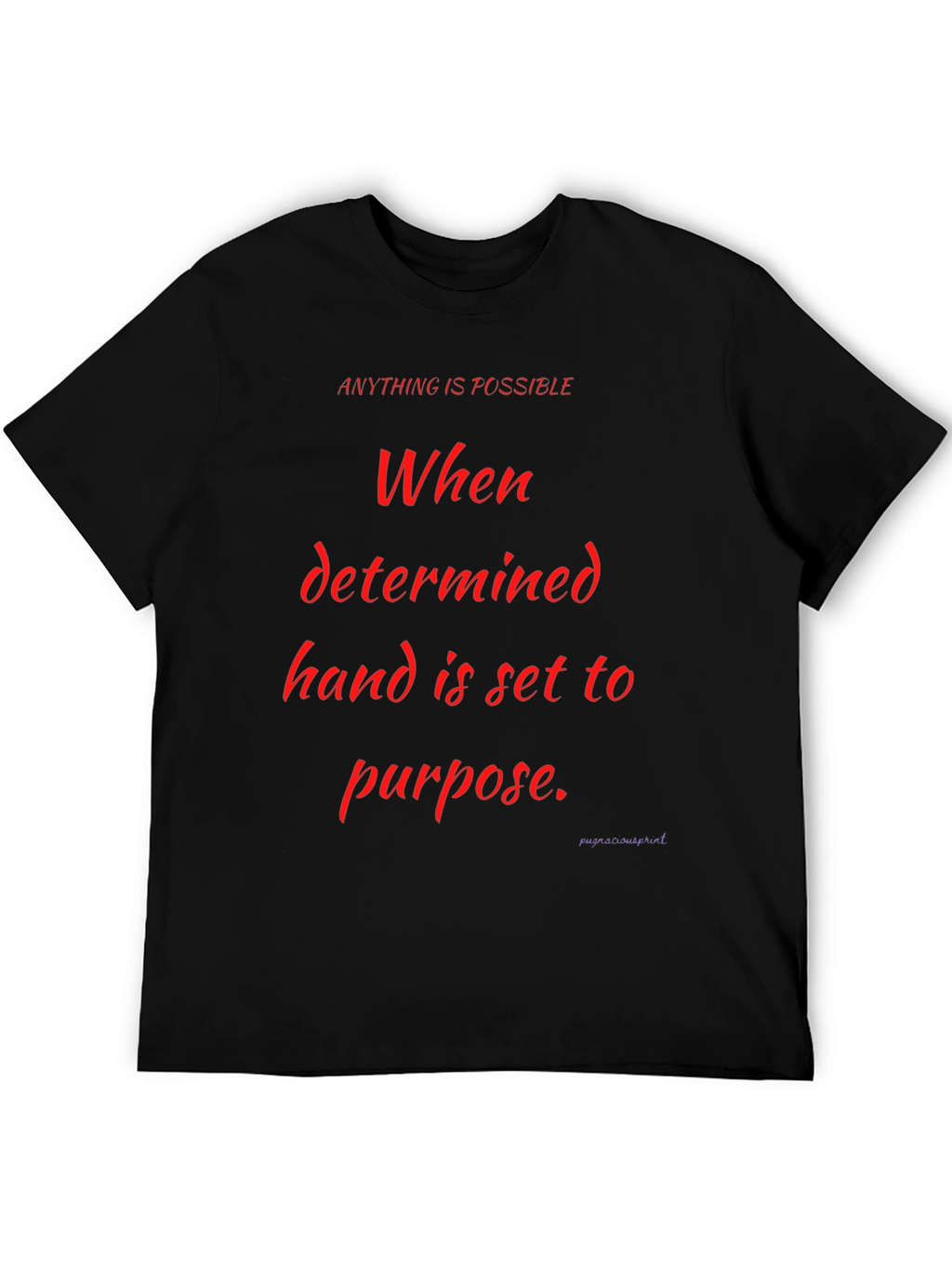 Motivational Graphic Tee - Anything is Possible