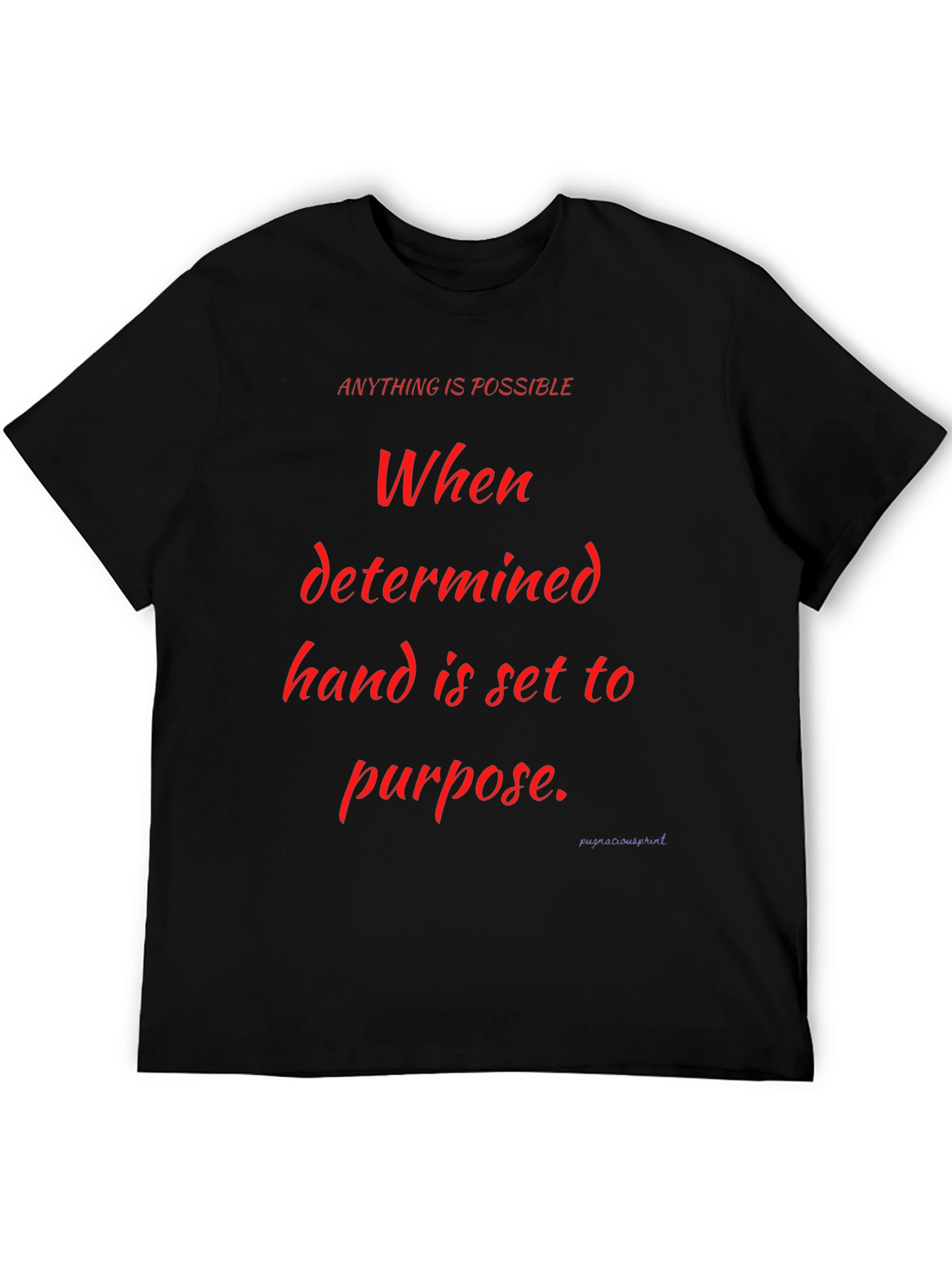 Motivational Graphic Tee - Anything is Possible