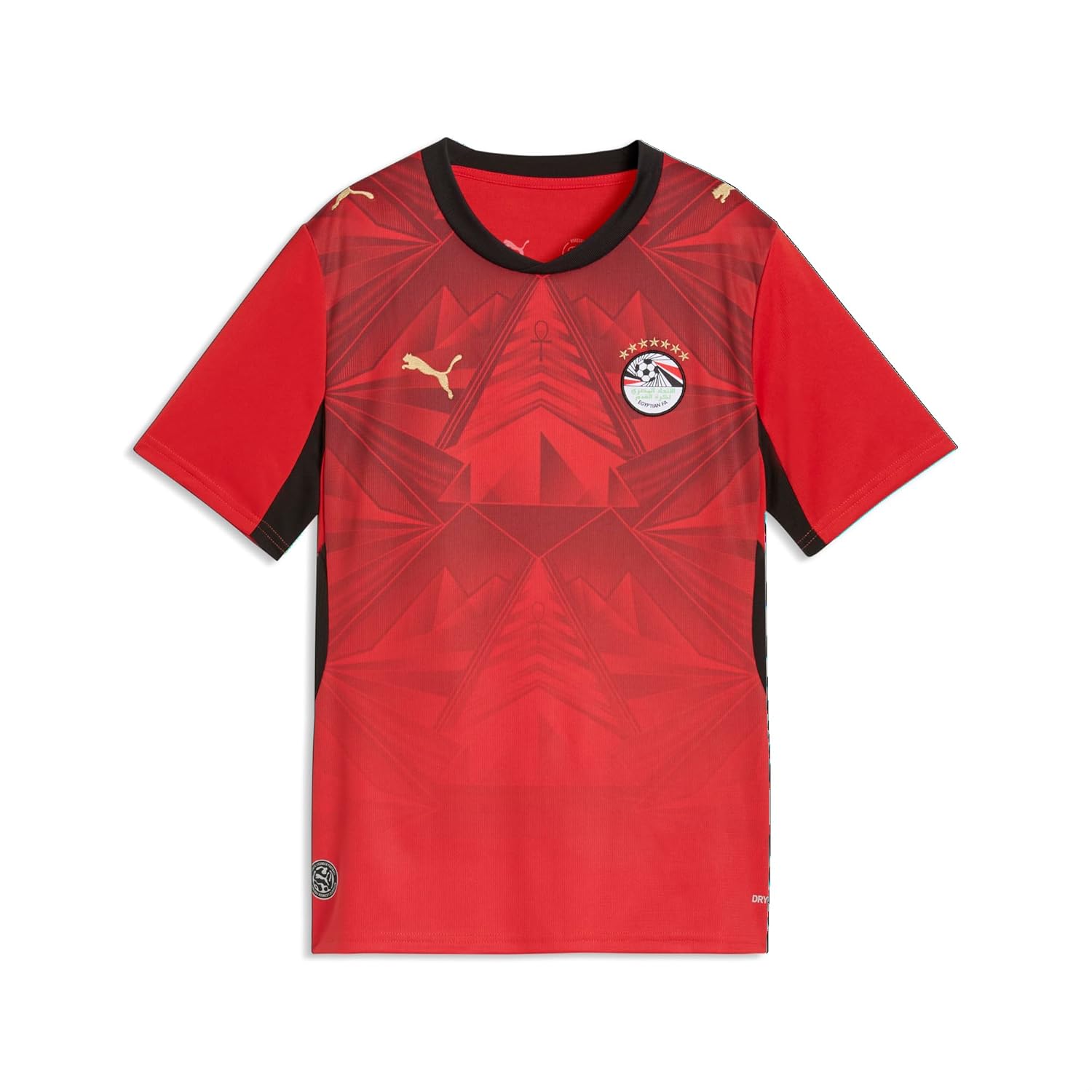 Junior Egypt Home Soccer Jersey - Replica Style