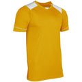 Adult Unisex Attacker Soccer Jersey