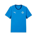Men's Iceland Home Soccer Jersey - Replica Style
