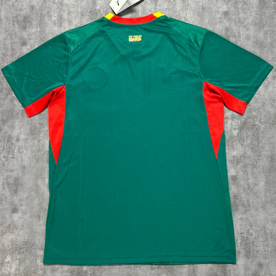 2026/27 Senegal Away Green Fans Soccer Jersey (Have Right Patch 有右臂章 白底黑字） Detail 1