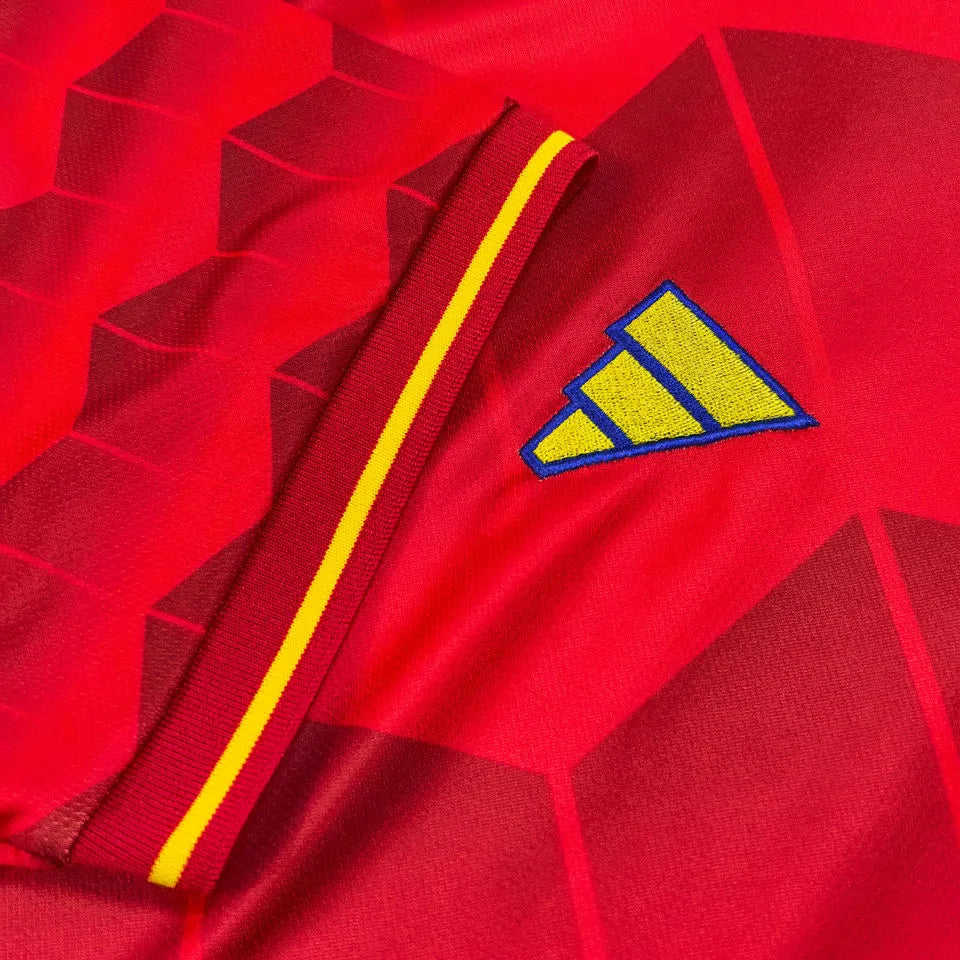 2025/26 Spain Special Edition Red Fans Soccer Jersey Detail 3