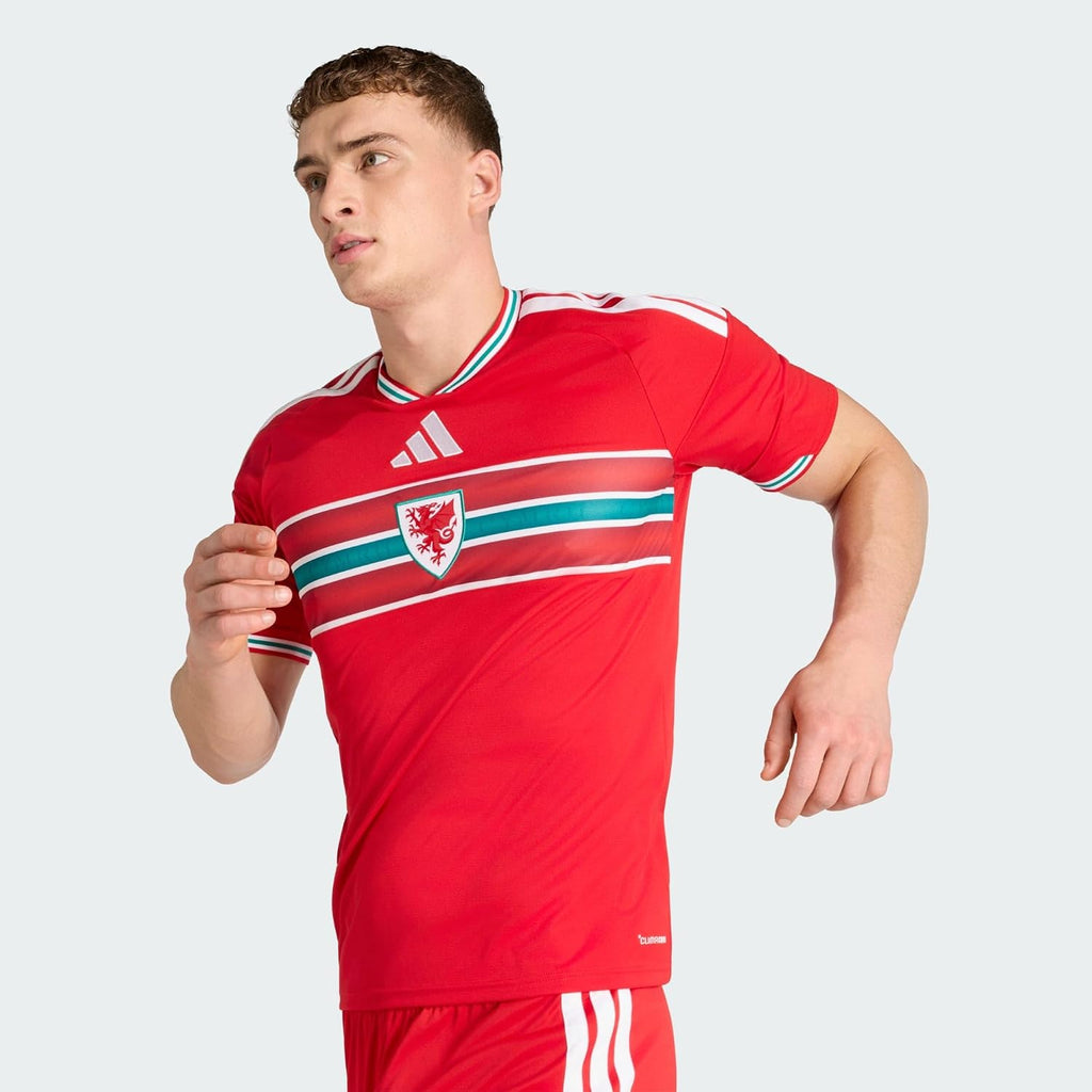 Men's Wales 26 Home Soccer Jersey