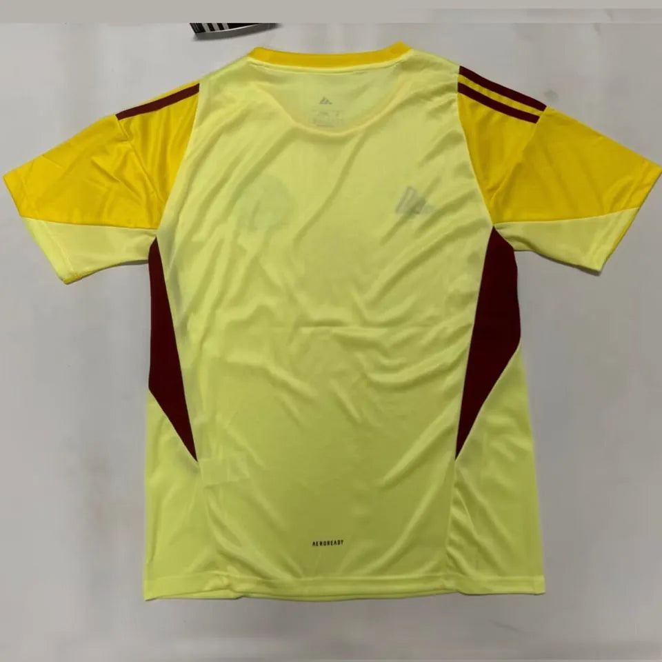 2026/27 Colombia Yellow Goalkeeper Fans Soccer Jersey Back