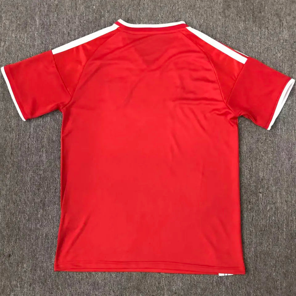 2026/27 Wales Special Edition Fans Soccer Jersey Back
