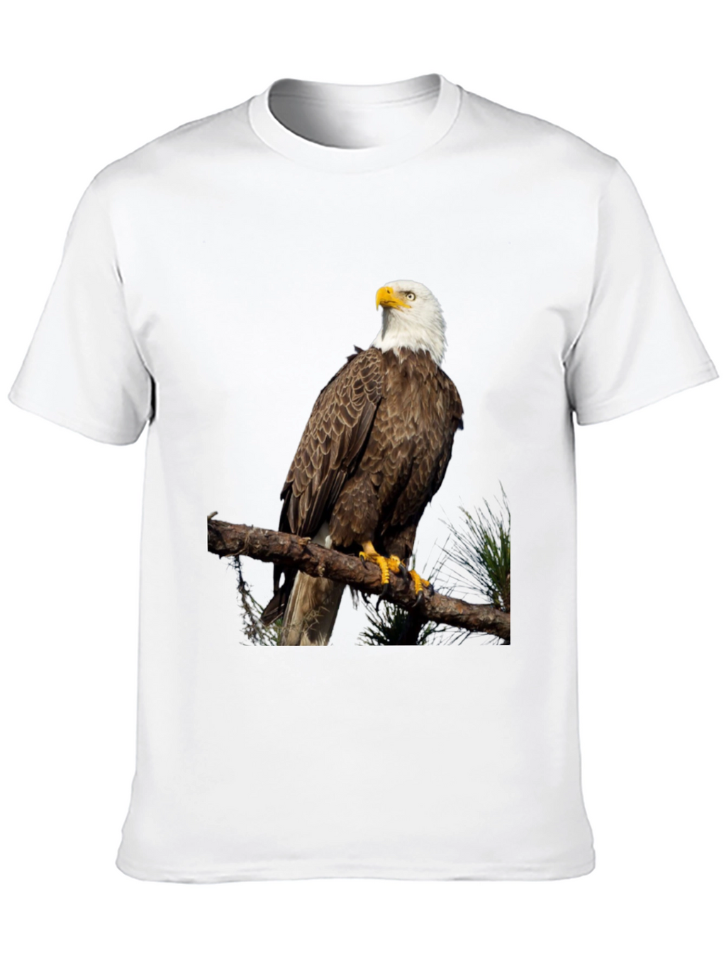 Bald Eagle Graphic Print Black T-Shirt
