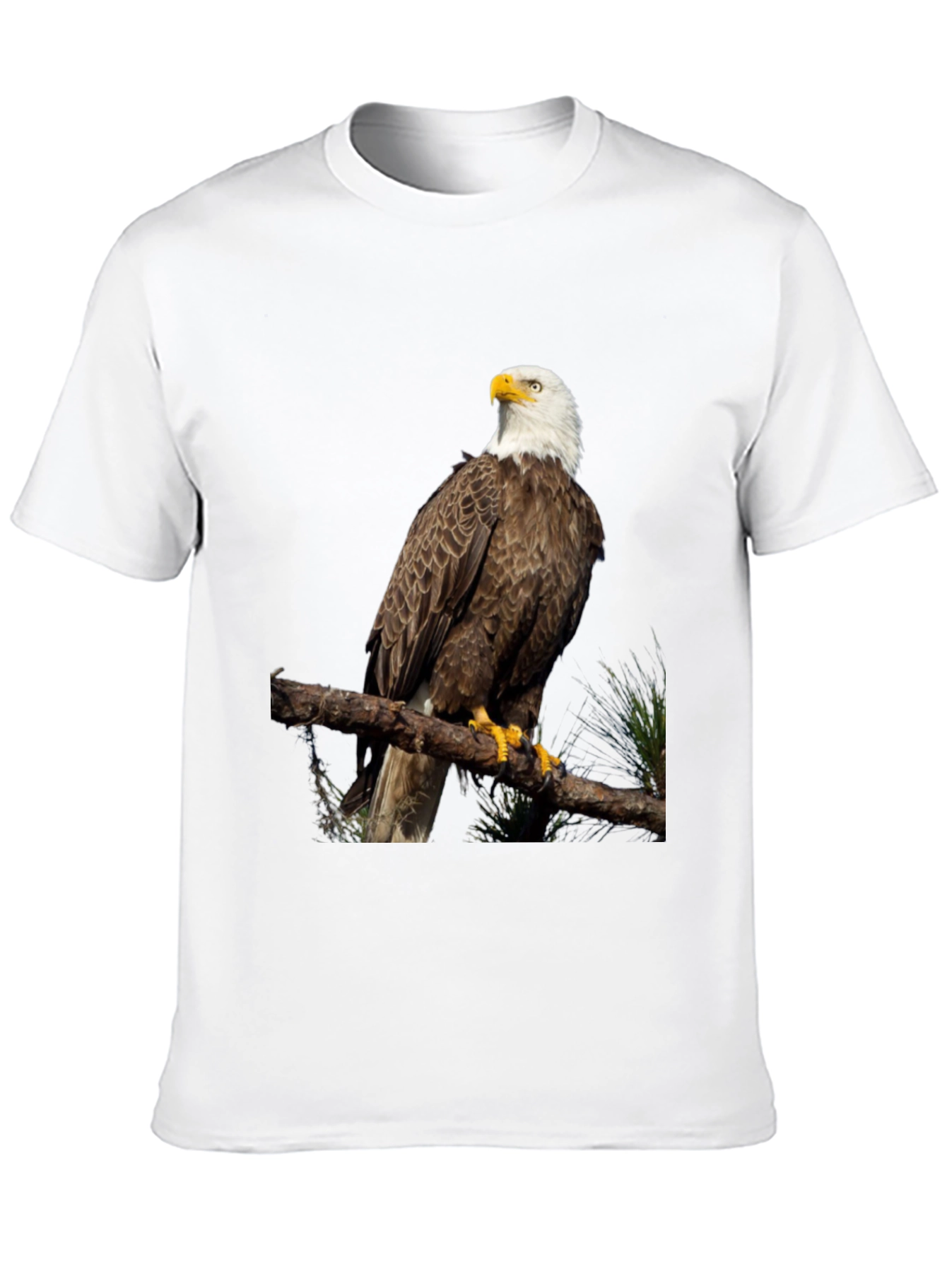 Bald Eagle Graphic Print Black T-Shirt