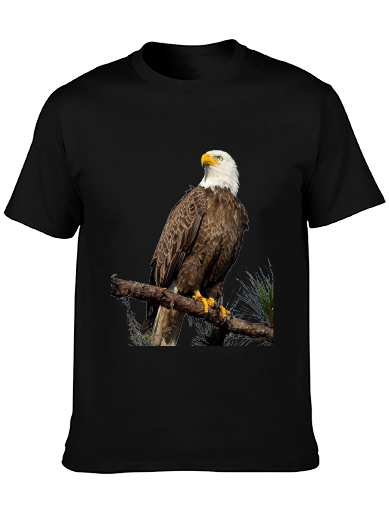 Bald Eagle Graphic Print Black T-Shirt