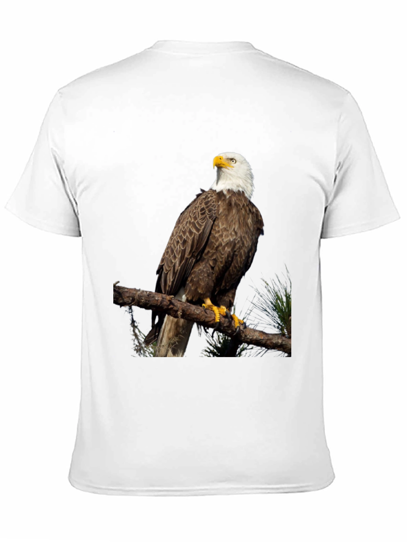 Bald Eagle Graphic Print Black T-Shirt