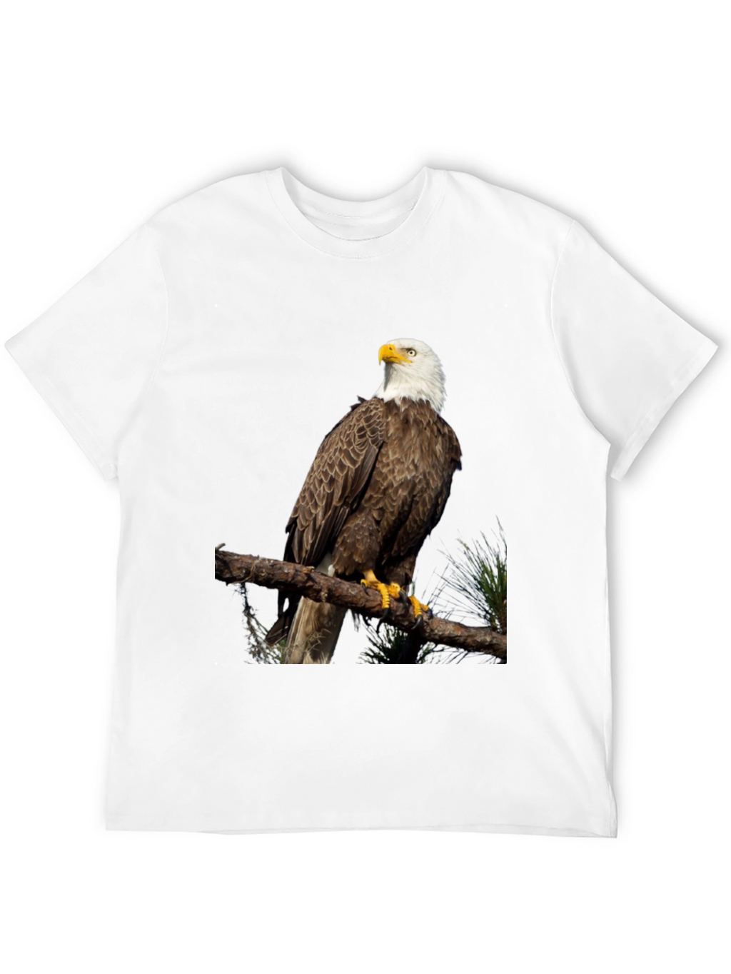 Bald Eagle Graphic Print Black T-Shirt