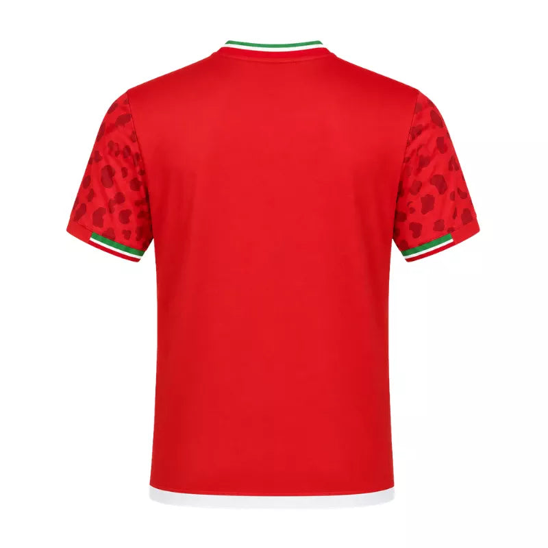 2026 Iran Away Jersey Back