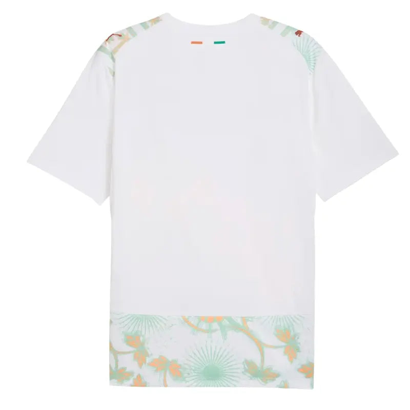 2026 Ivory Coast Away Jersey Back