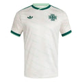 2026 Northern Ireland Away Jersey Front