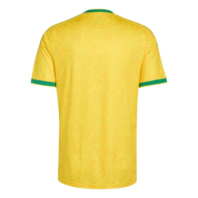 2026 South Africa Home Jersey Back