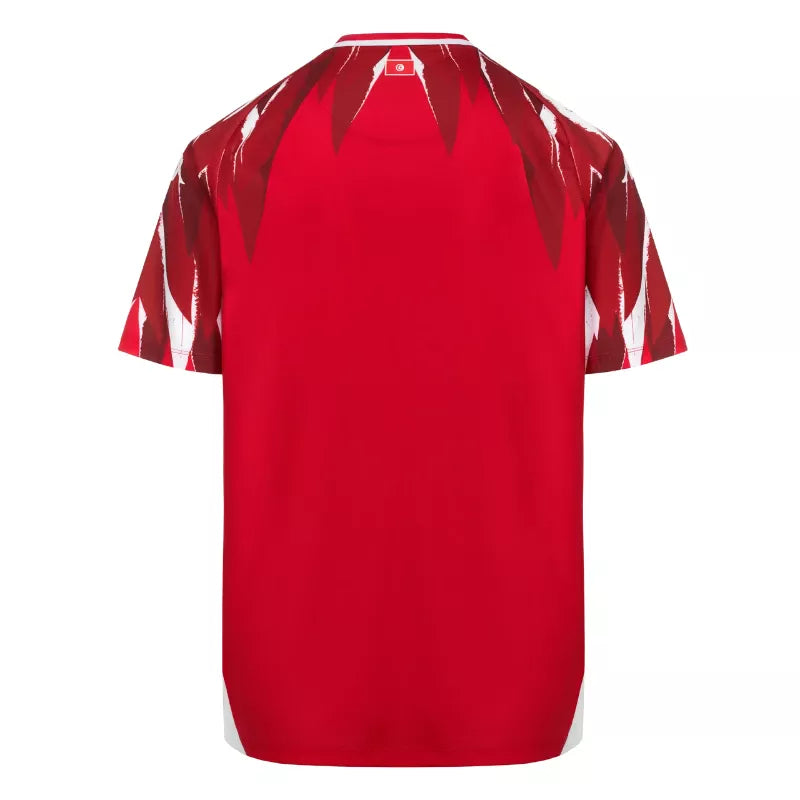 2026 Tunisia Away Jersey Back