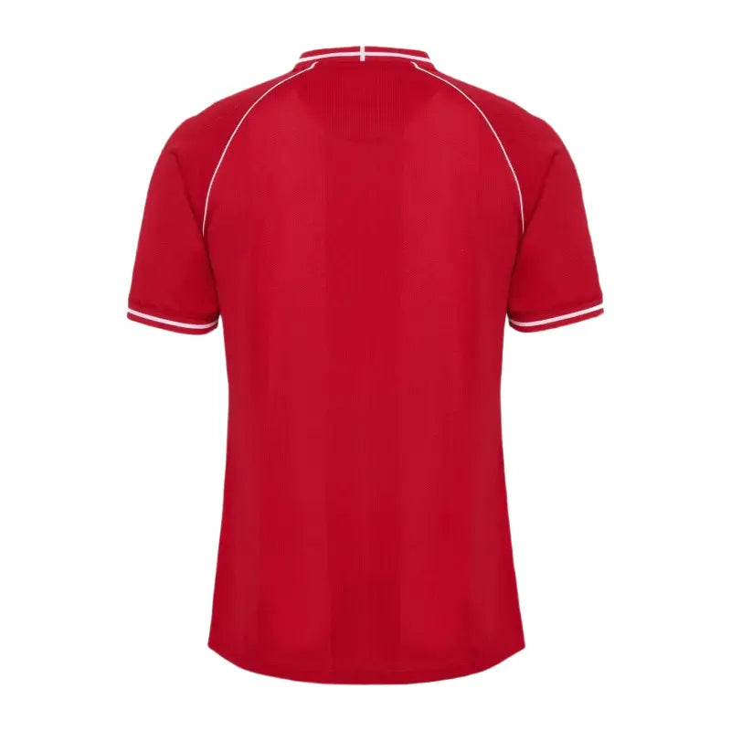 2026 Denmark Home Jersey Back