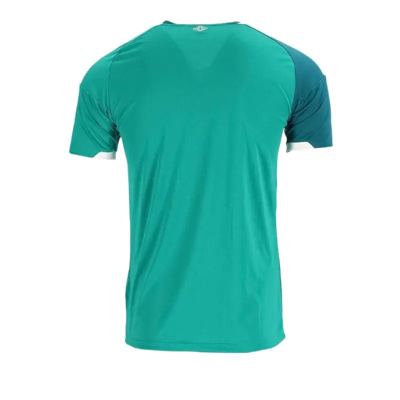 2026 Northern Ireland Home Jersey Back