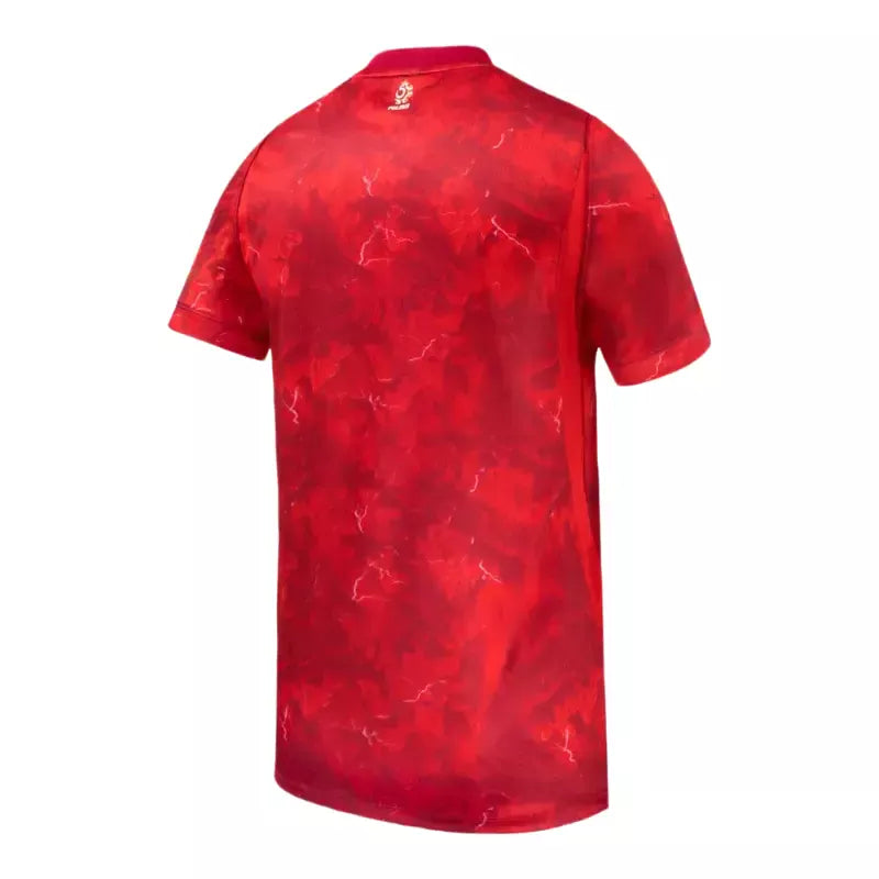2026 Poland Away Jersey Back