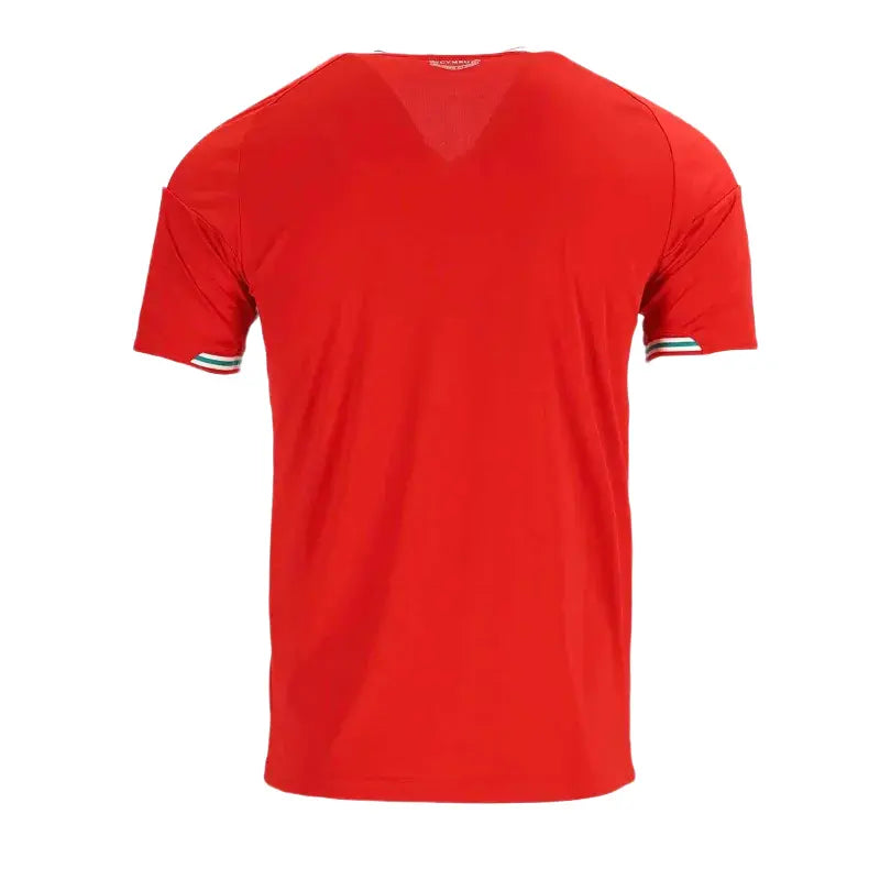 2026 Wales Home Jersey Back