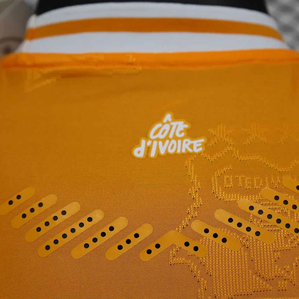 2025 Ivory Coast Special Edition Orange Player Version Jersey Detail 2