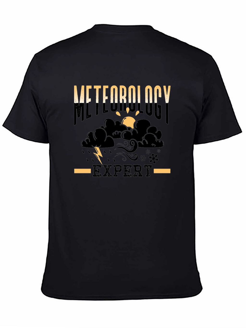 Meteorology Expert Black T-Shirt