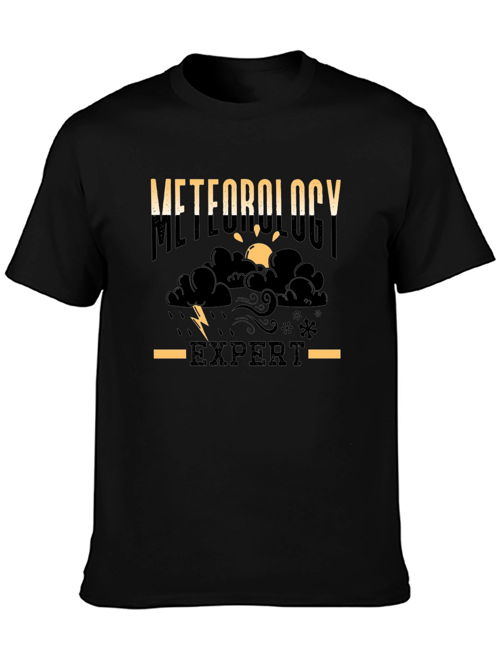 Meteorology Expert Black T-Shirt