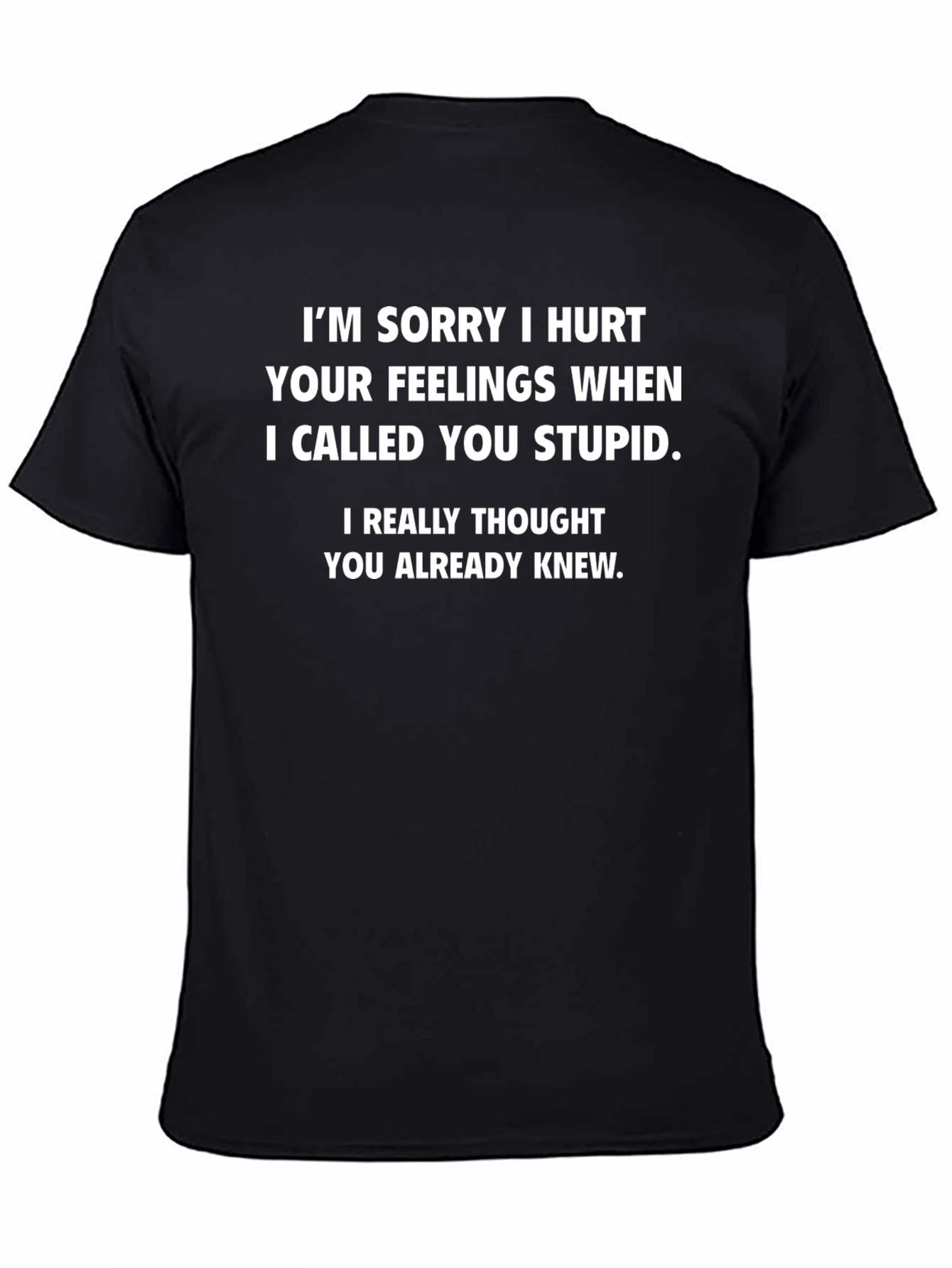 Funny Statement Graphic Tee - I Called You Stupid