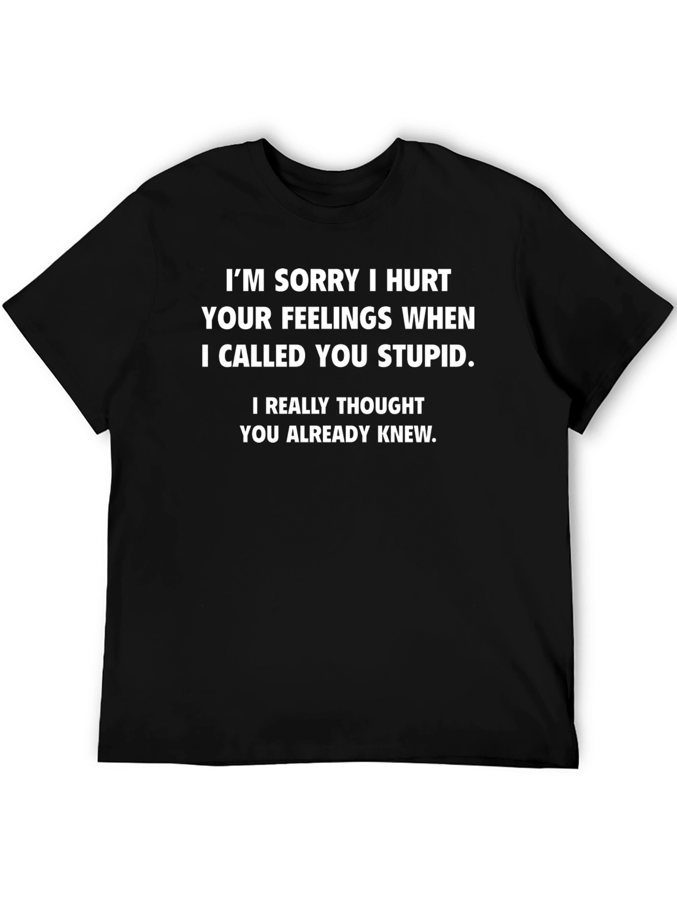 Funny Statement Graphic Tee - I Called You Stupid