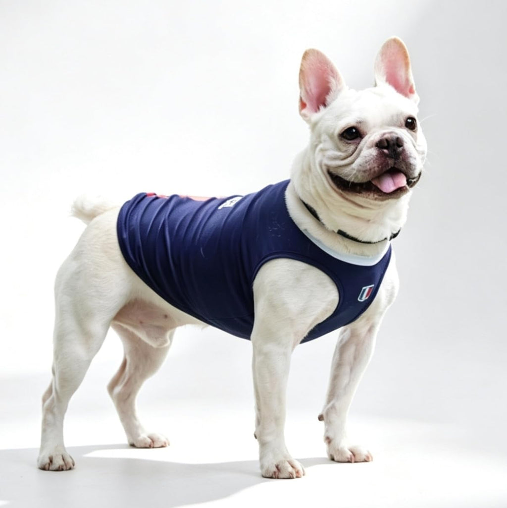 Navy Blue France Soccer Jersey Vest for Dogs, Large