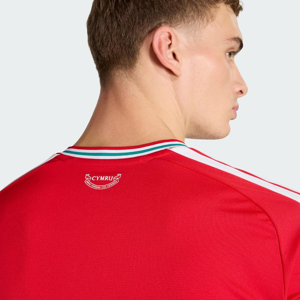 Men's Wales 26 Home Soccer Jersey