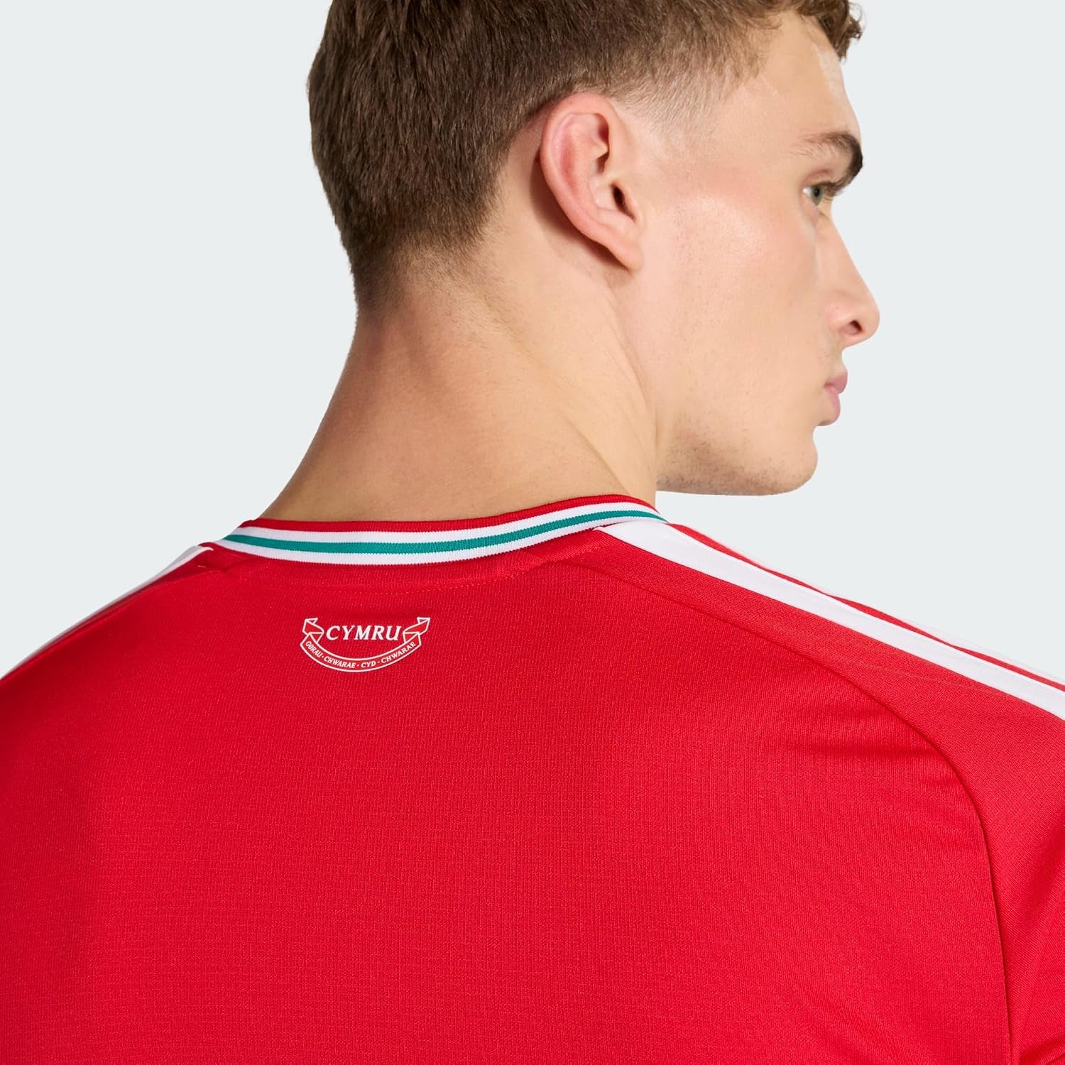 Men's Wales 26 Home Soccer Jersey
