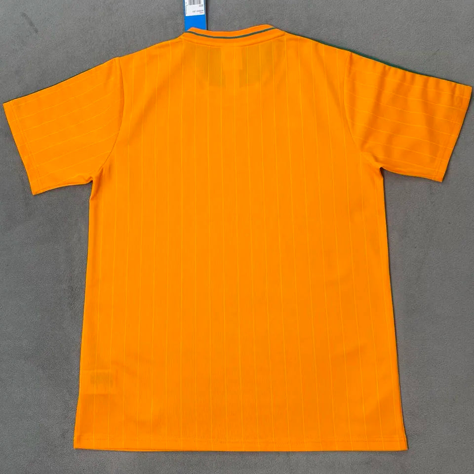 2026/27 Ivory Coast Retro Style Fans Soccer Jersey Back