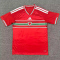 2026/27 Wales Home Red Fans Soccer Jersey Front