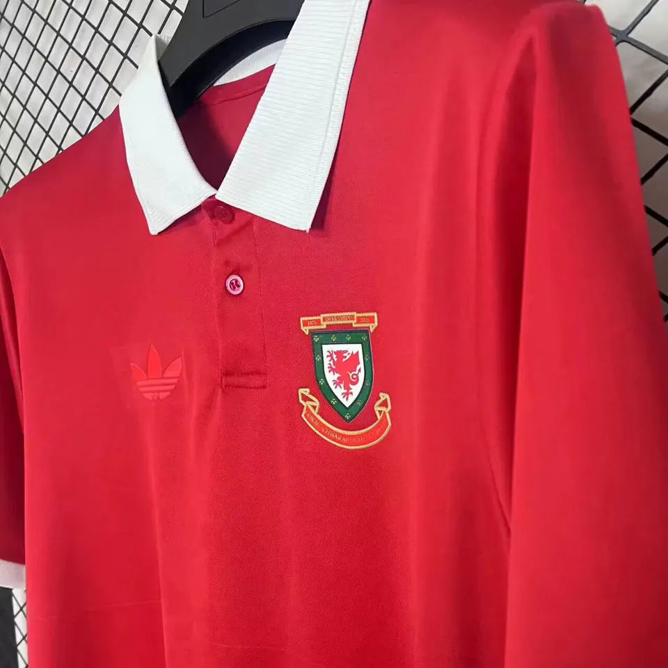 2026/27 Wales 150TH Anniversary Edition Fans Soccer Jersey Detail 2