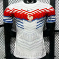 2026/27 France Special Edition White Player Version Soccer Jersey Front
