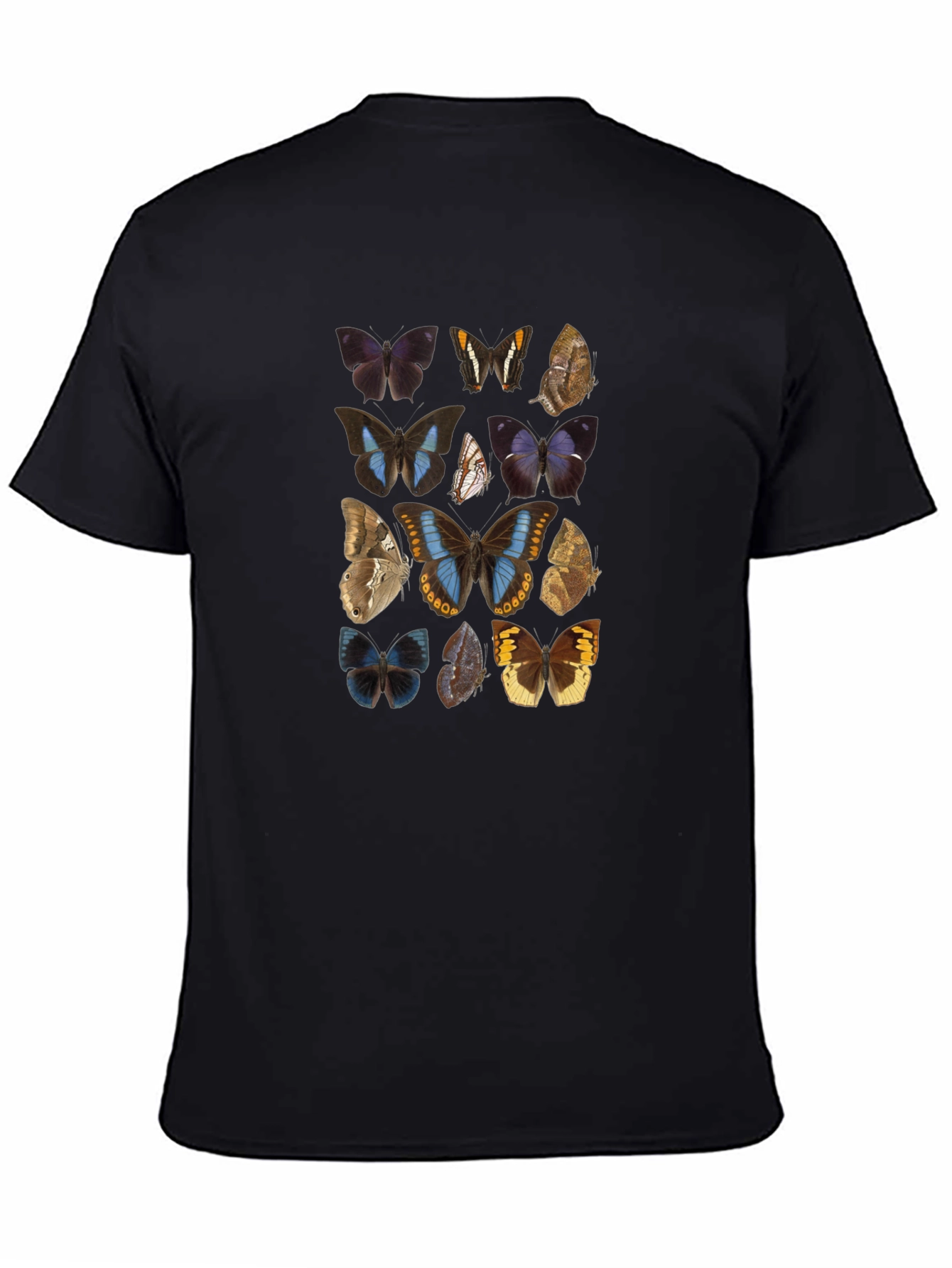 Butterfly Print Graphic Tee - Black