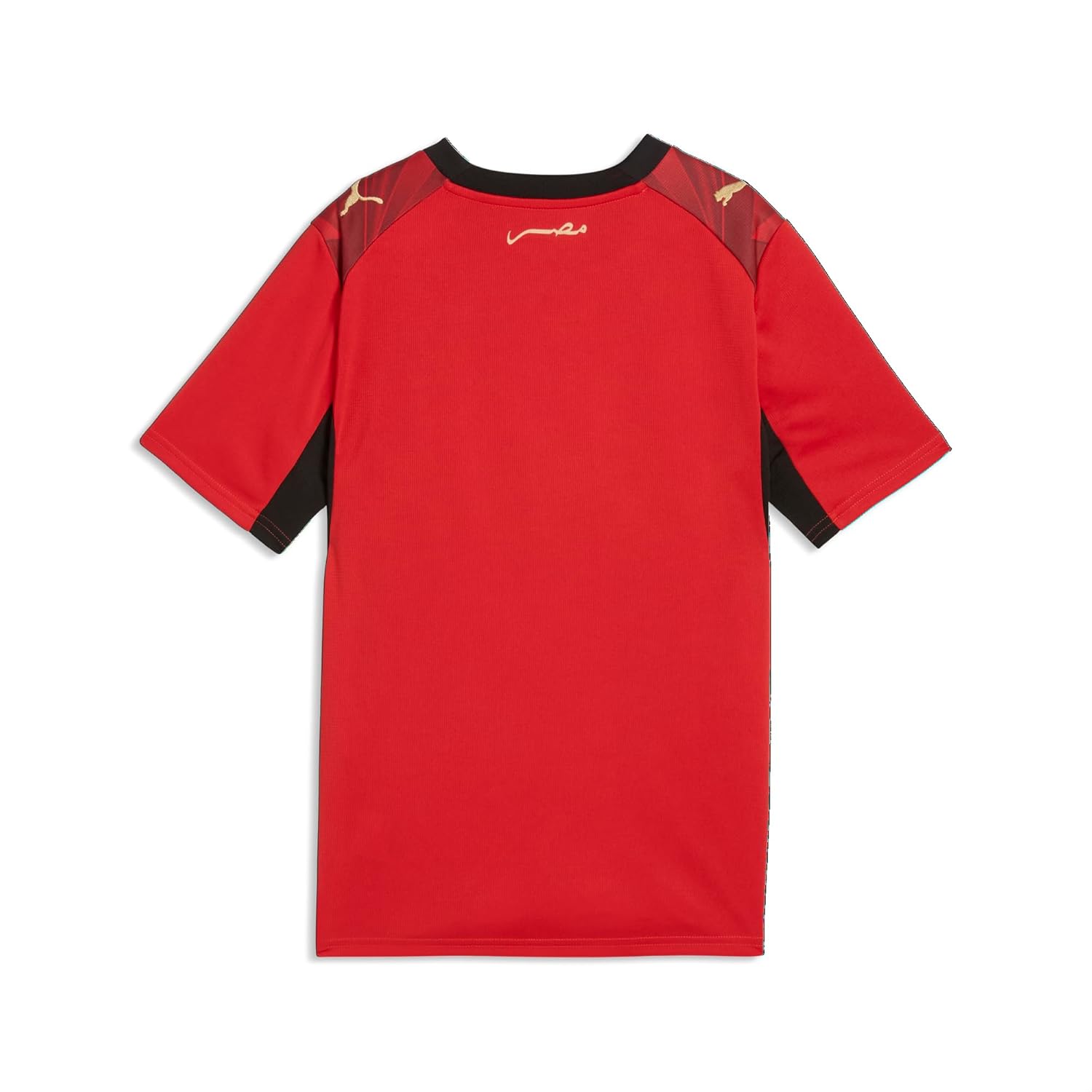 Junior Egypt Home Soccer Jersey - Replica Style