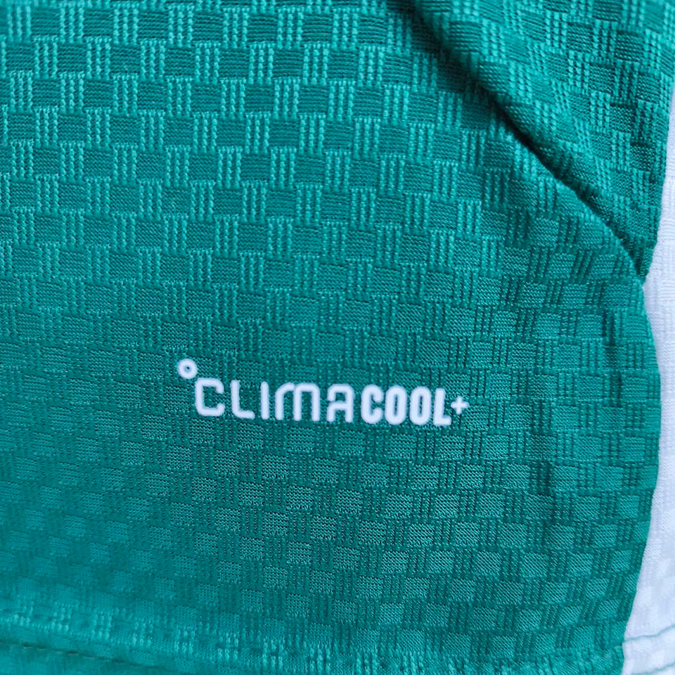 2026/27 Italy Special Edition Green Player Version Soccer Jersey Detail 4
