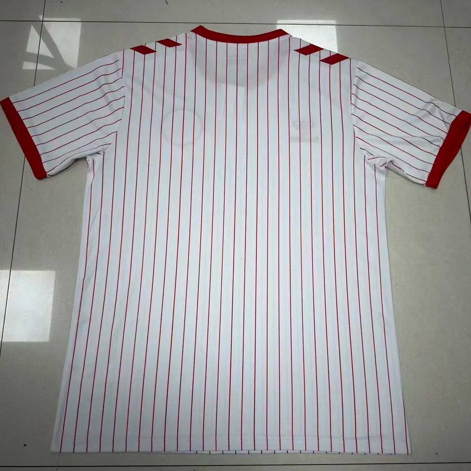 2026/27 Denmark Away White Fans Soccer Jersey Back