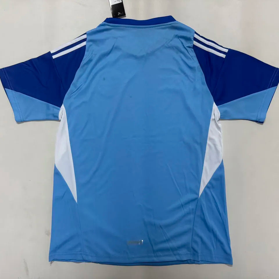 2026/27 Colombia Blue Goalkeeper Fans Soccer Jersey Back
