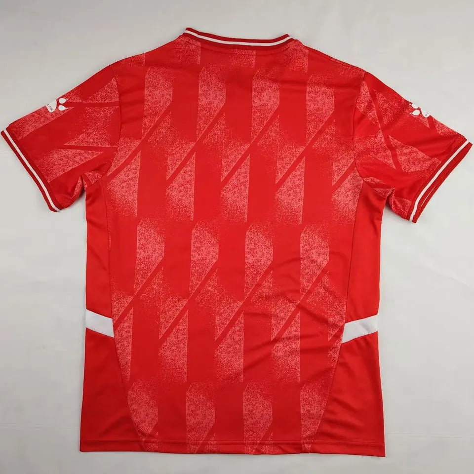 2024/25 Palestine Red Fans Soccer Jersey Back
