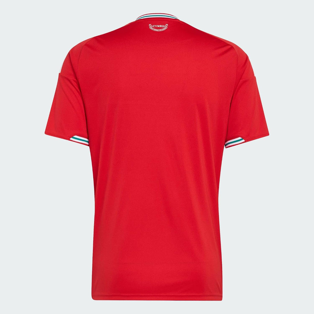 Men's Wales 26 Home Soccer Jersey